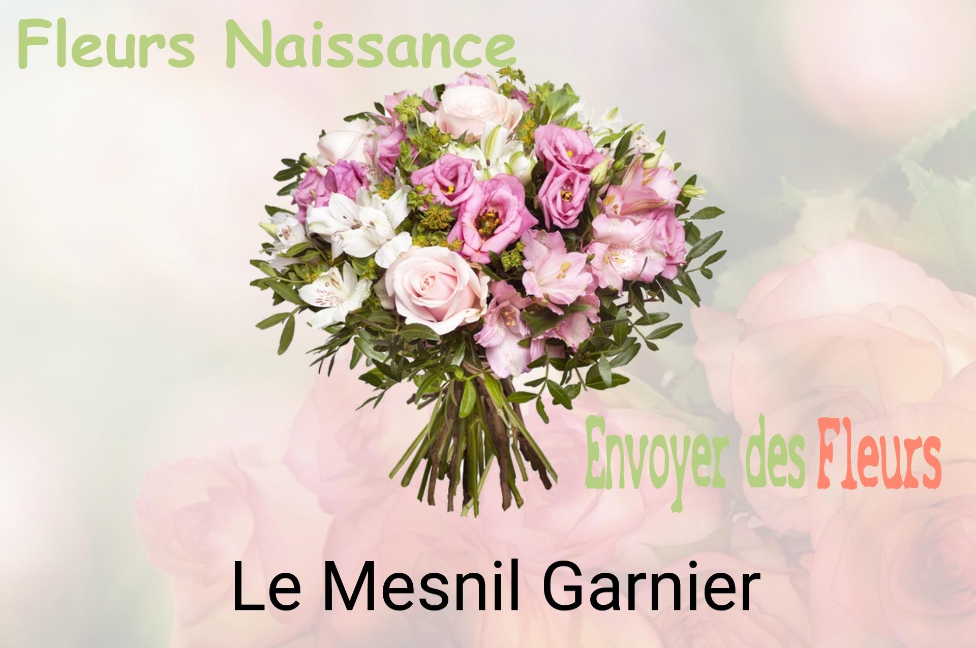 Bouquet de fleurs de naissance livré à Le Mesnil-Garnier